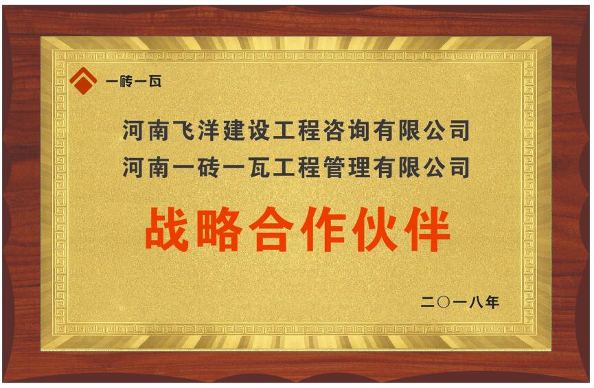 河南飞洋.jpg